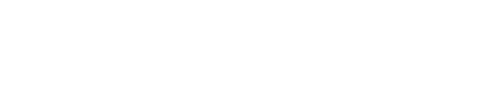BoltAudit